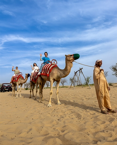 Camel riding in Bedouin experience