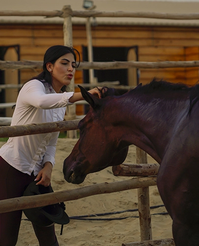 Live Horse Showcase