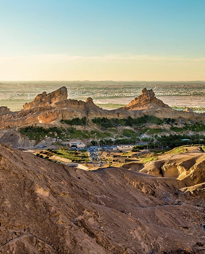 Al Ain's Oasis