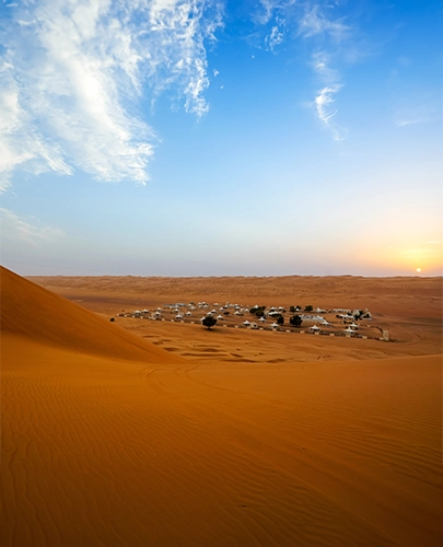 Desert Wonders