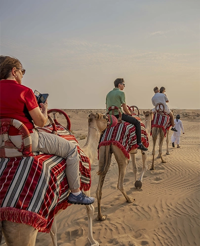 Camel Ride at Sunset & Sunrise