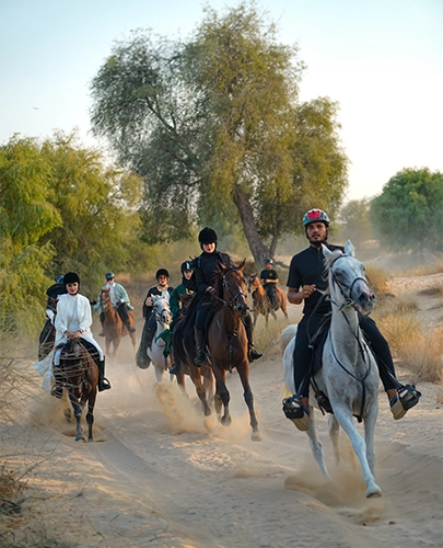 Professional Riding Instructor