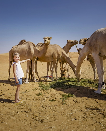 Camel Farm Visit