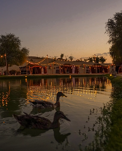 Al Marmoom camp